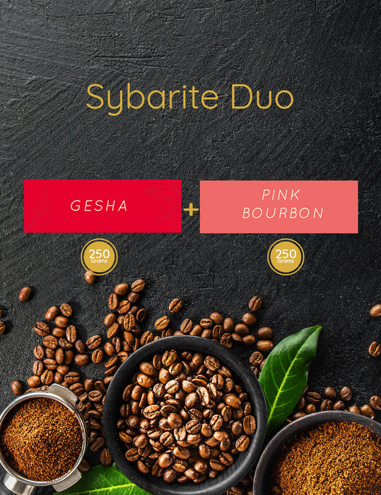 Sybarite Duo-Bean