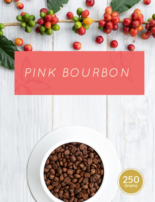 Pink Bourbon - Bean